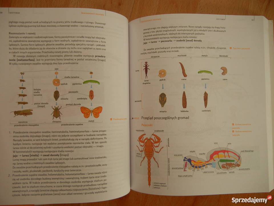 biologia matura repetytorium pwn rozszerzony mazowieckie Warszawa sprzedam