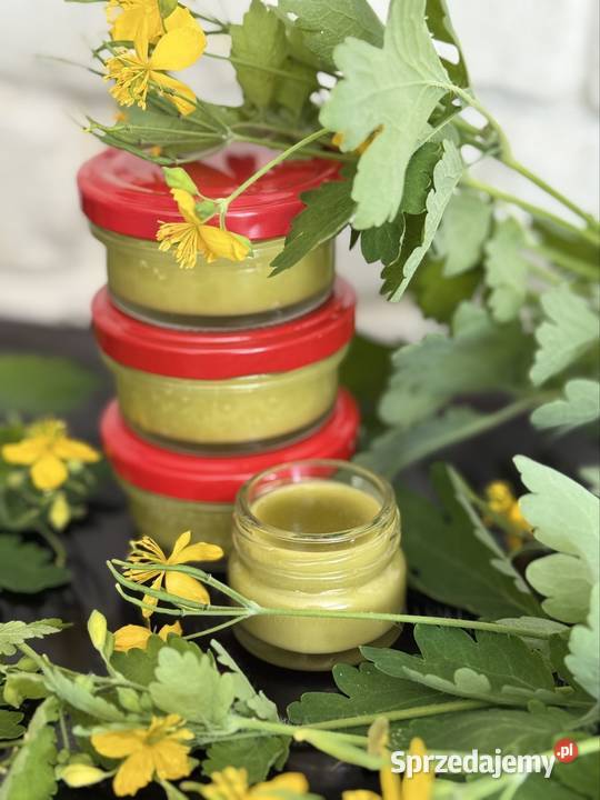 Maść z glistnika jaskółcze ziele na enzemę Puławy