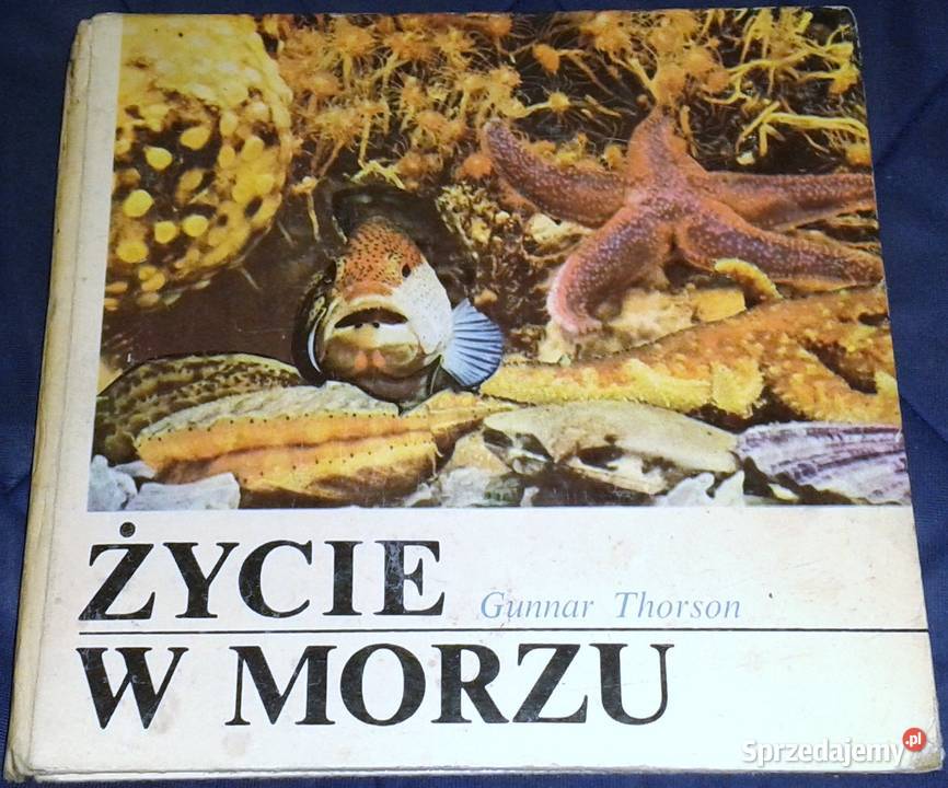 Życie w morzu Gunnar Thorson Chełm