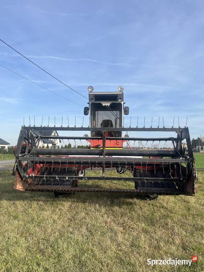 Pokosówka OWATON Pozostałe Topola Królewska