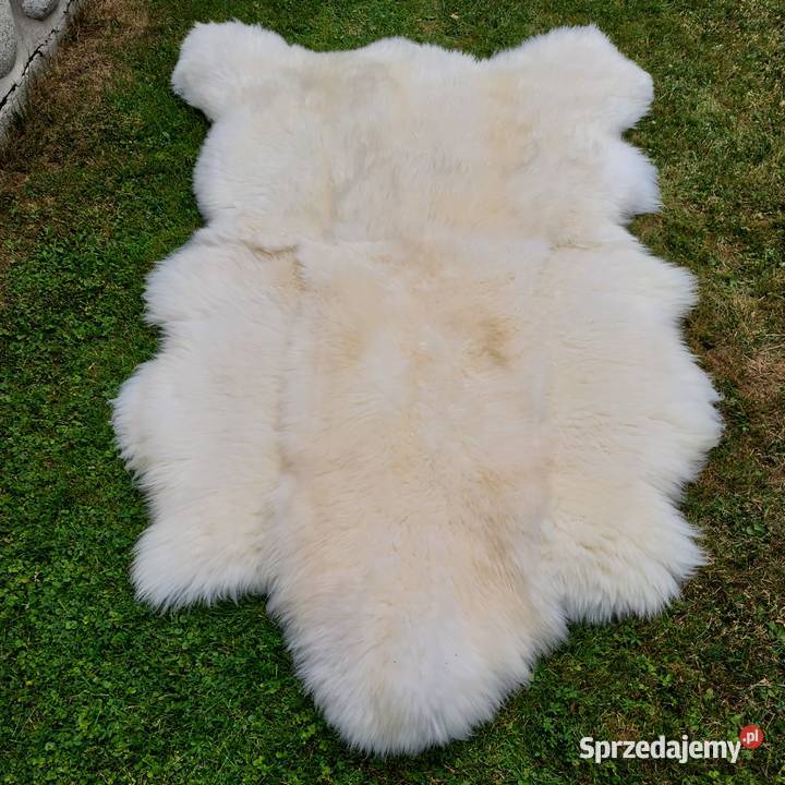 Skóra Niedźwiedź XXXL Dywan Skóra Owcza Szaflary