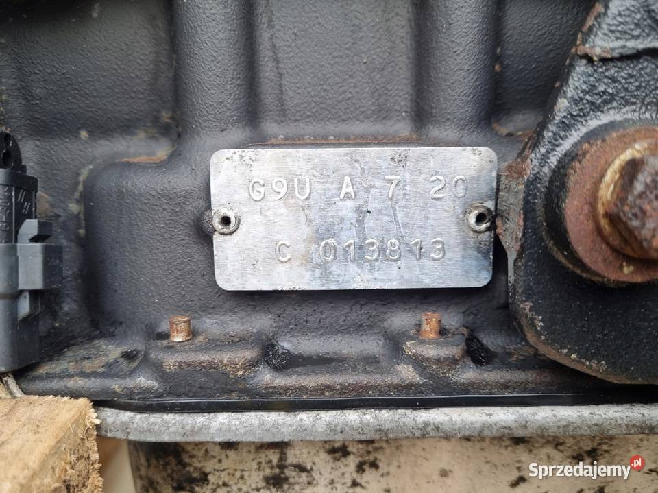 SILNIK BEZ OSPRZĘTU Nissan Interstar II 25 DCI Rudka