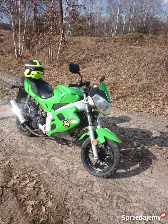 Kingway Fennari lubelskie Gąsiory