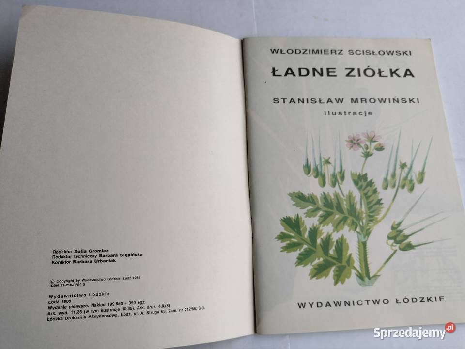Ładne ziółka Włodzimierz Scisłowski pomorskie Gdynia