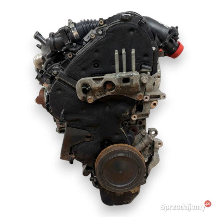 SILNIK TZJB Ford Fiesta VI VII MK7 16 TDCI 95 Chełm