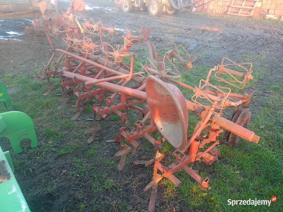 Pielnik do buraków warzyw Gostyń