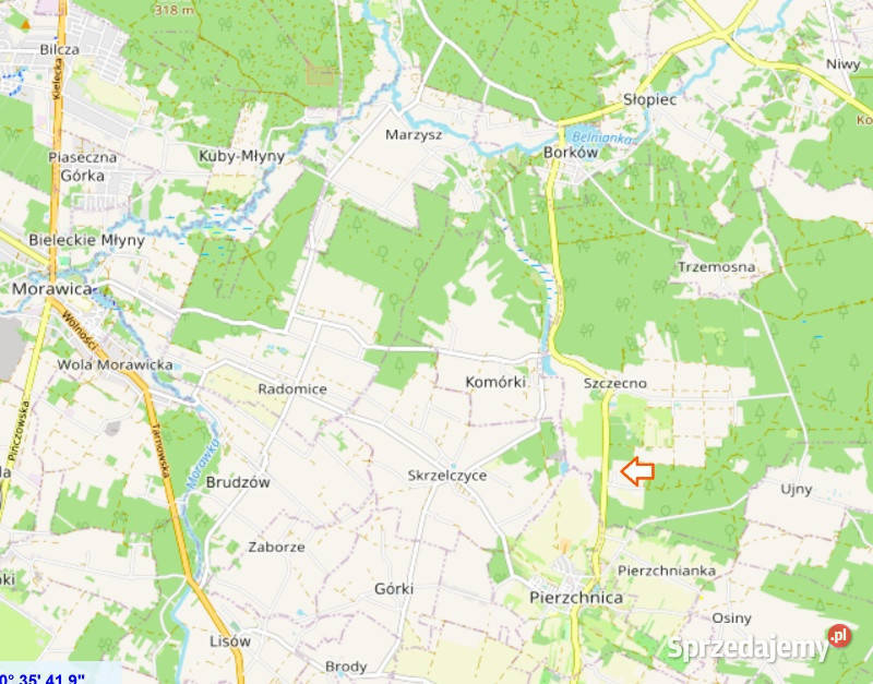 Działki w otoczeniu lasów Szczecno