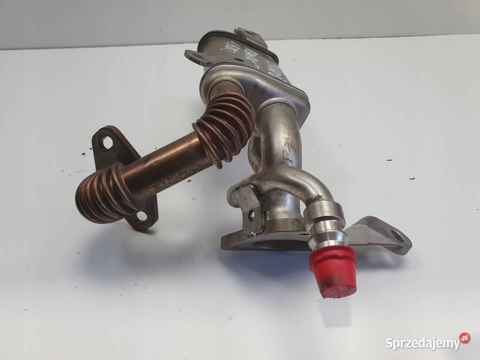 Renault Clio IV 15 DCi CHŁODNICA SPALIN EGR Rudka