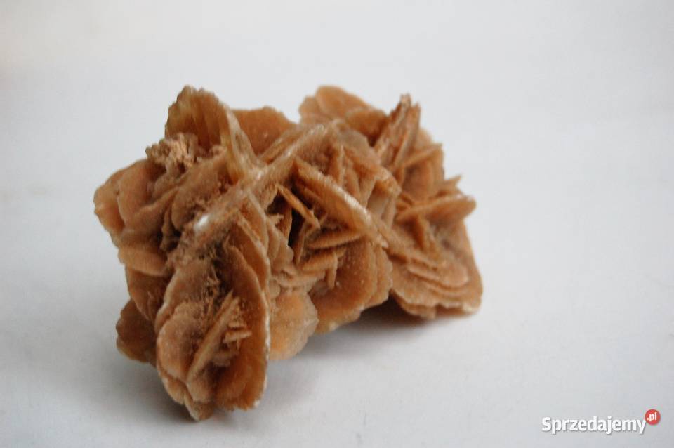 Róża pustyni kamień Sahara 10 beżowy Lublin sprzedam