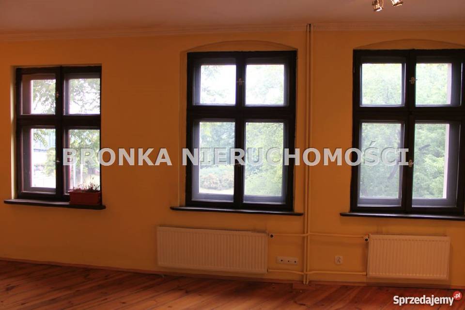 lokal Toruń Stare Miasto Toruń