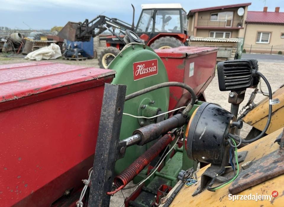 Siewnik hassia Dziwie