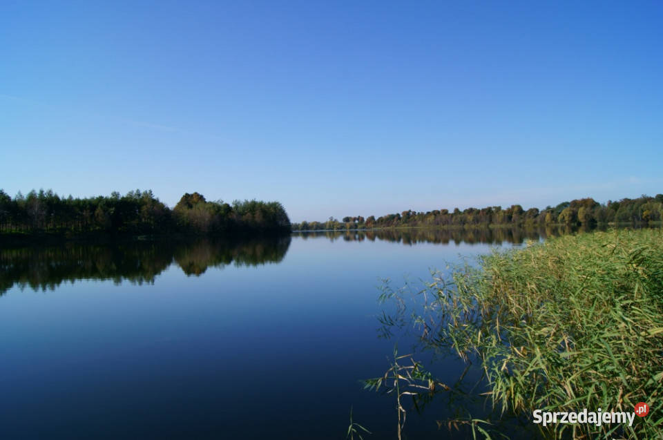 Uzbrojona działka do zabudowy z własną linią Orle sprzedam