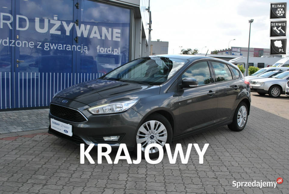 Ford Focus Hatchback GoldX 16 Benzyna 105 ASO wielofunkcyjna kierownica Białystok
