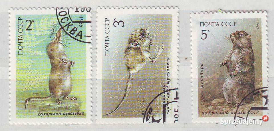 Zn ZSRR Mi 5537 9 kas 1985 Gliwice