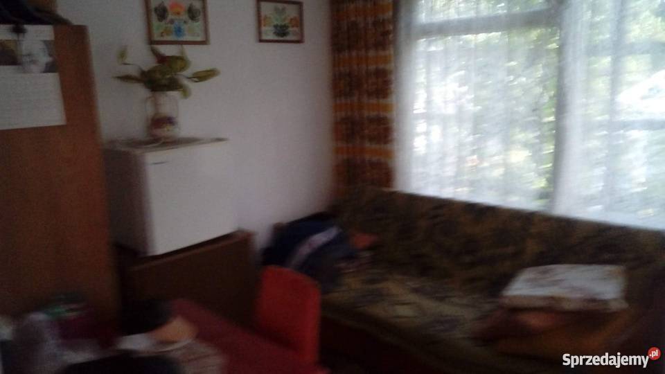 Działka ROD Leśna Polana Poznań prąd wielkopolskie