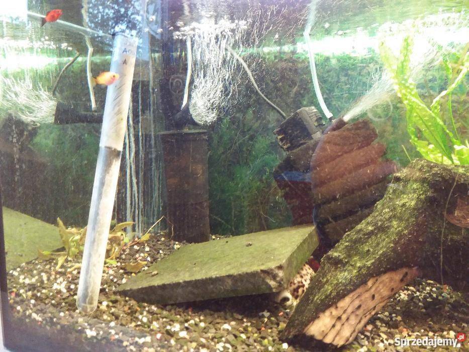 Akwarium 160 litrów stolik przezroczysty Kraśnik sprzedam