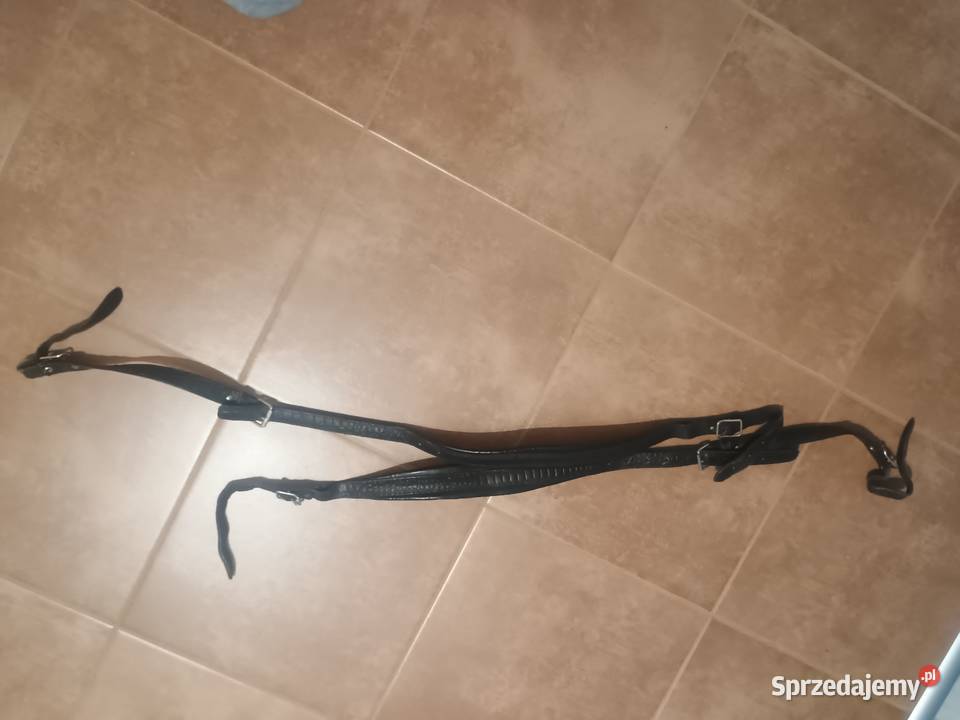 Akordenon Pasy nosne