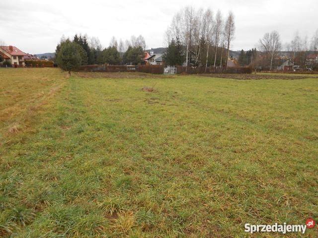 DZIAŁKI ZAKLICZYN nD CENTRUM Zakliczyn