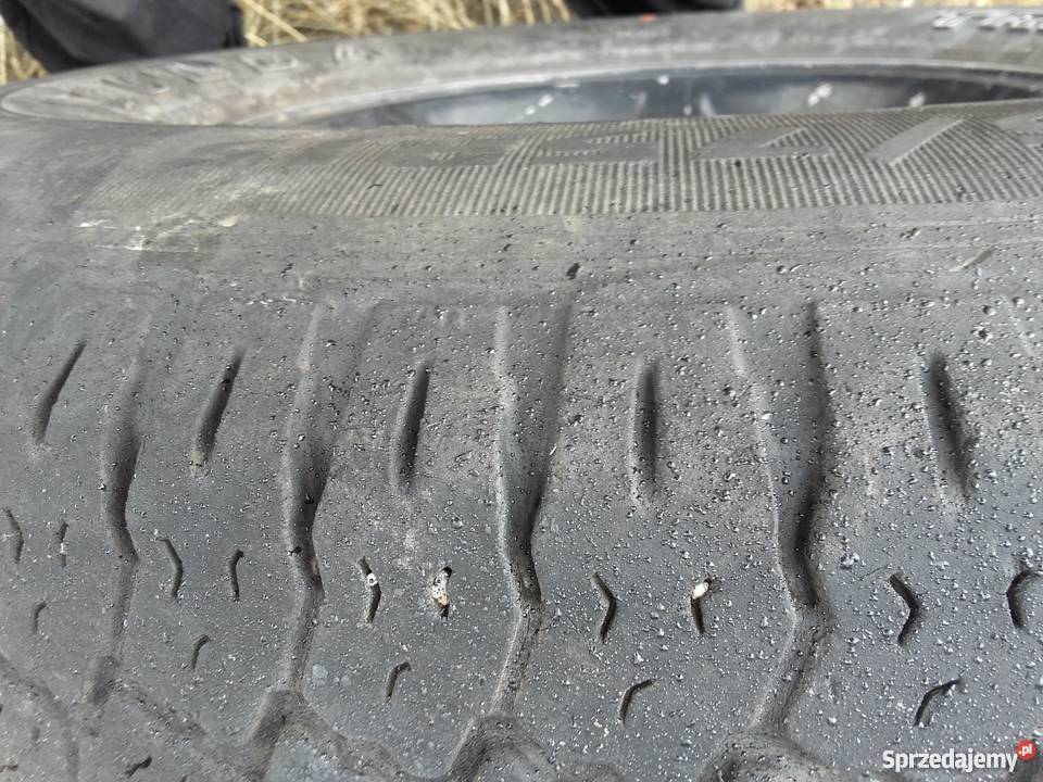 Kolo frontera Gorzów Wielkopolski sprzedam