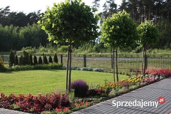 Usługi ogrodnicze kujawsko-pomorskie Bydgoszcz