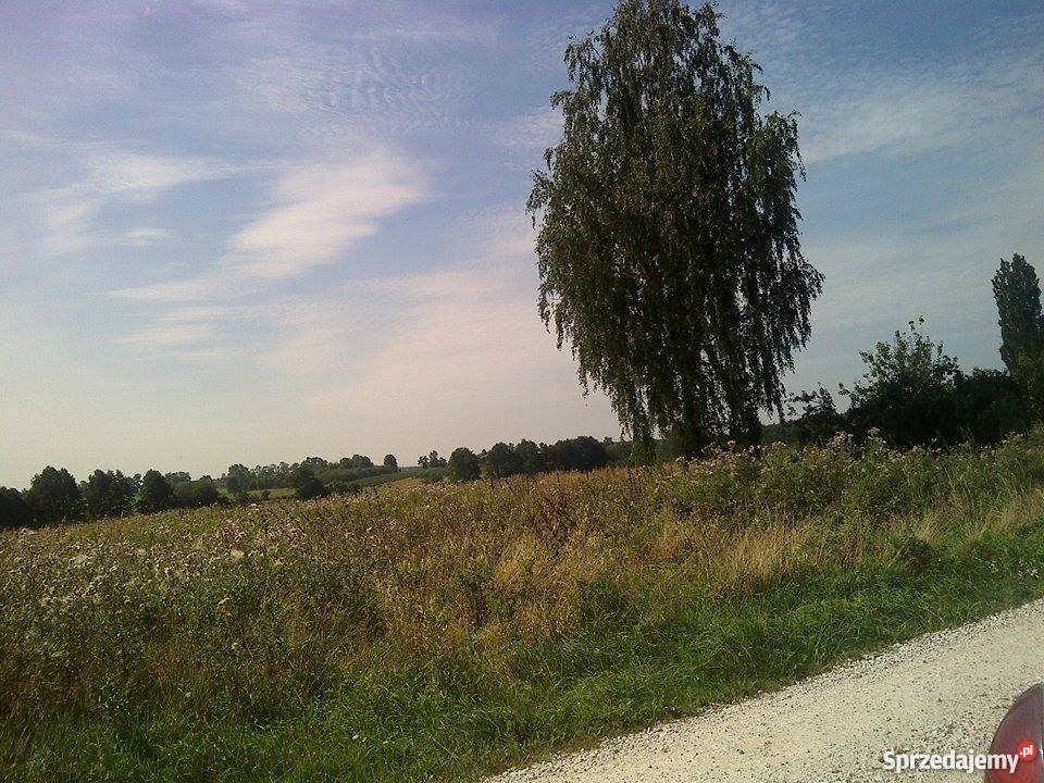 Działka budowlana Niemieryczew