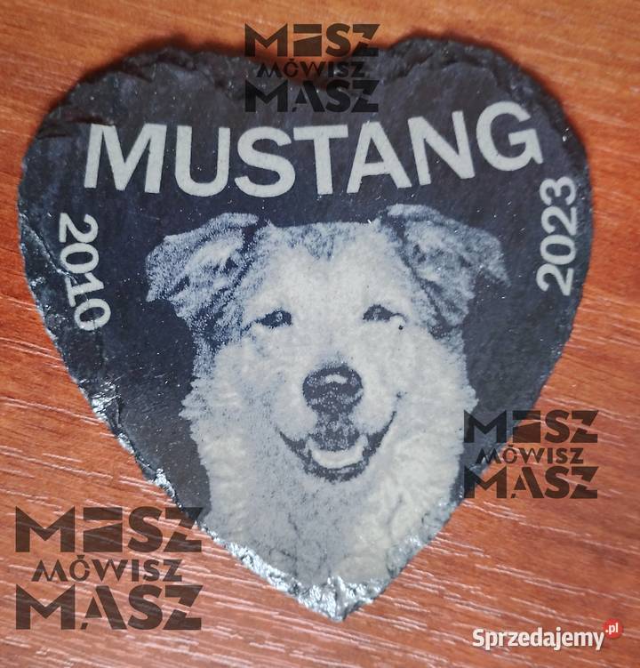 Tabliczka pamiątkowa zwierzaka z fotograwerem Racot