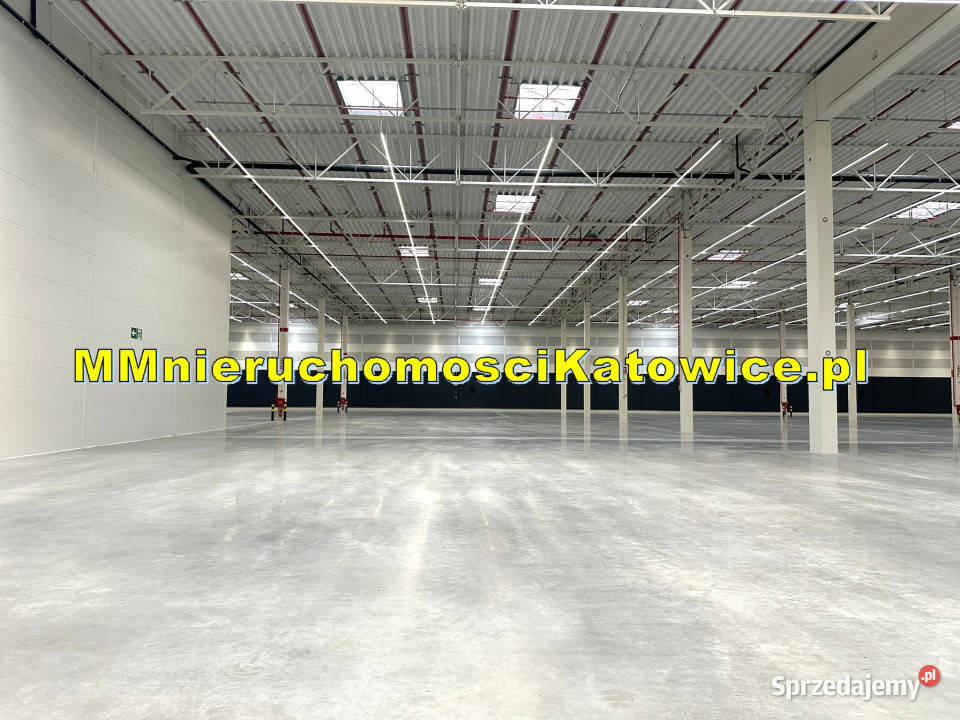 Centrum dystrybucyjne magazyny do wynajęcia Mysłowice