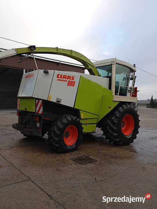 Claas jaguar 880 860 Rolnictwo mazowieckie Sokołów Podlaski