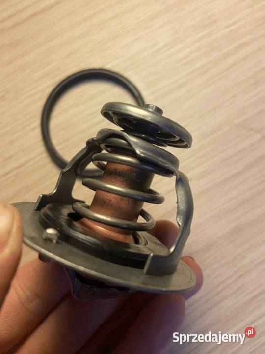 termostat Termostaty