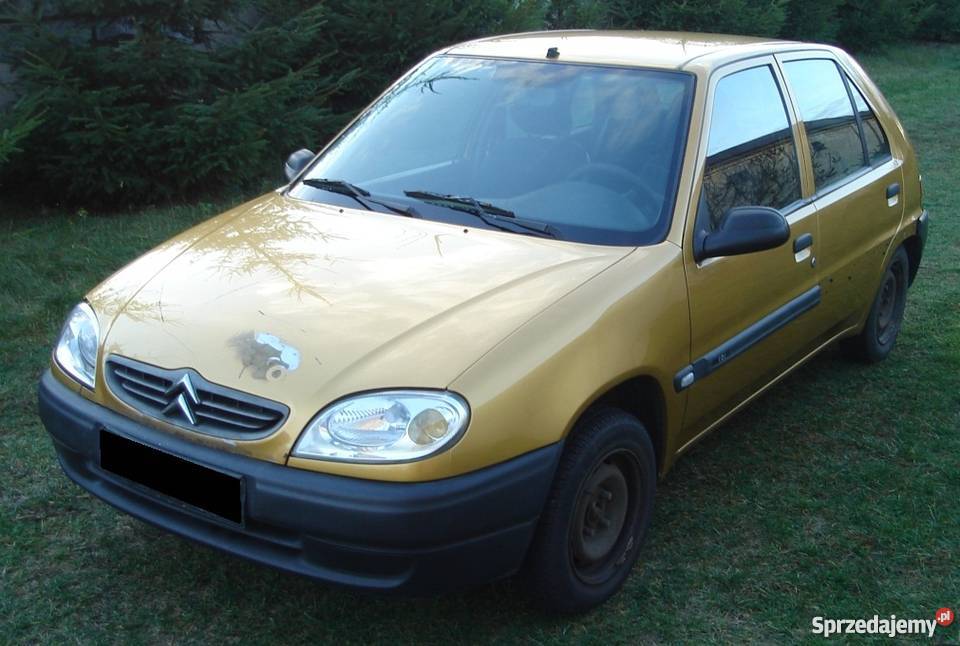 Części Citroen Saxo 10 11 2000r lift osobowe Pozostałe Lubartów