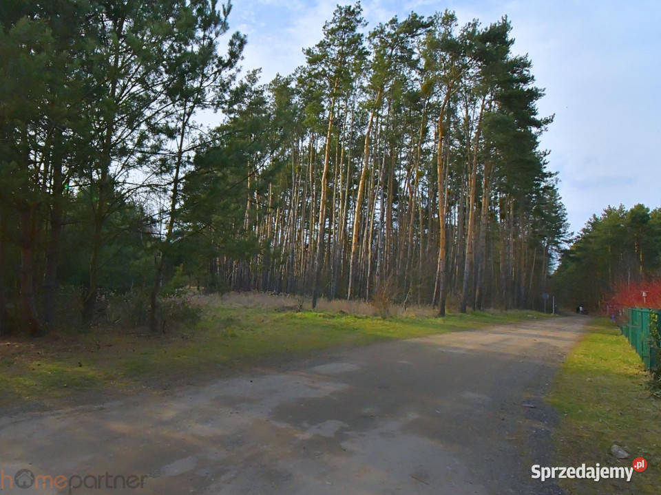 sprzedaży działki Miłoszyce 1197m2