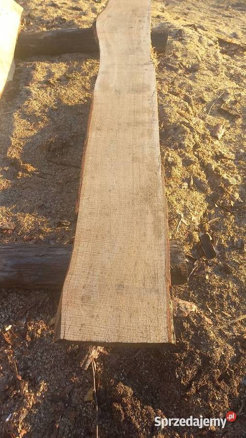 Deski debowe Brodnica