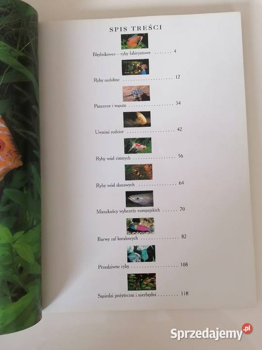 książka Ryby Akwariowe 1000 Fotografii Wrocław sprzedam