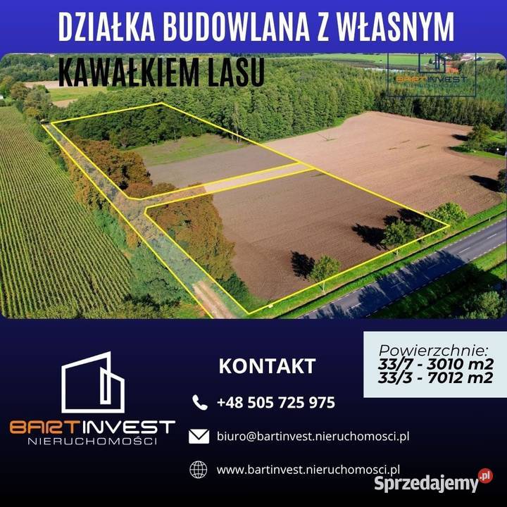 Duża działka budowlana z własnym lasem 7012 m2 Skorosze