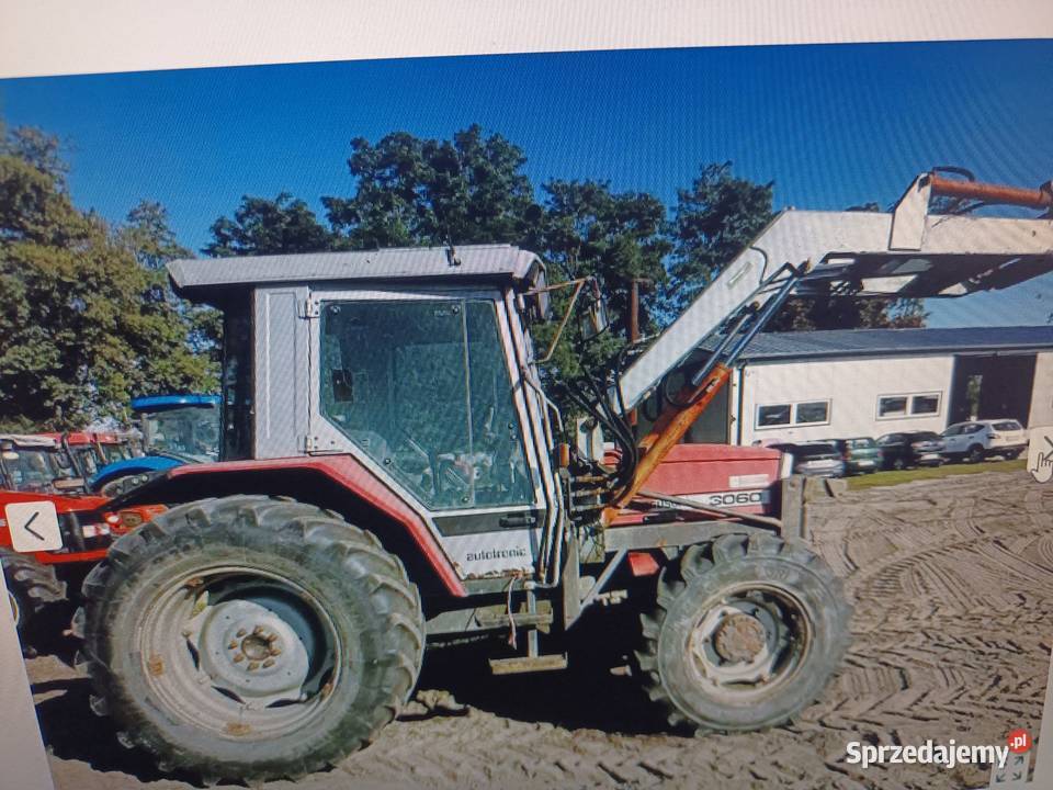 Tanio Łapy sprzedam