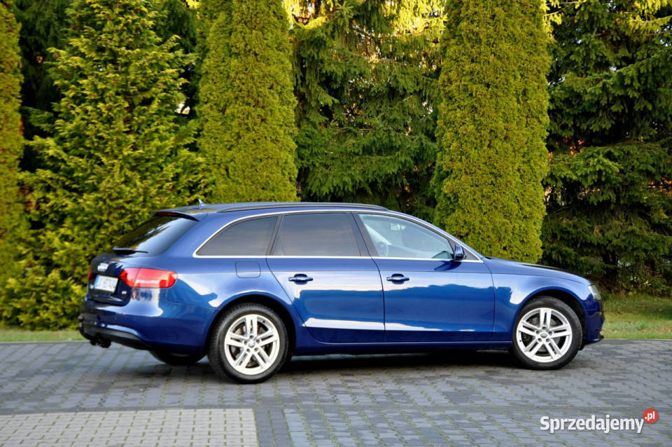 Audi A4 20TDI177LiftRadar ACCNavi nieuszkodzony A4 Ostrów Mazowiecka sprzedam