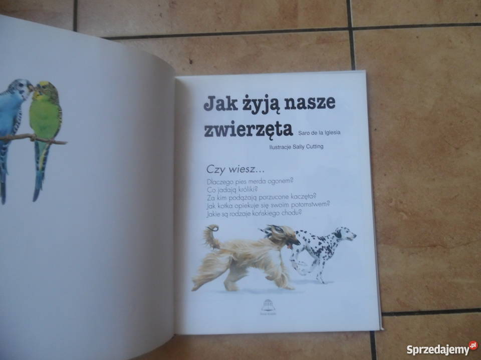 zyją zwierzęta Poradniki, albumy i reportaże Oborniki Śląskie