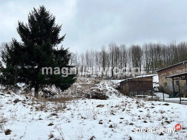 Urocza działka w Grzmiącej z wydanymi warunkami