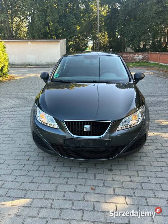Seat Ibiza 2010
