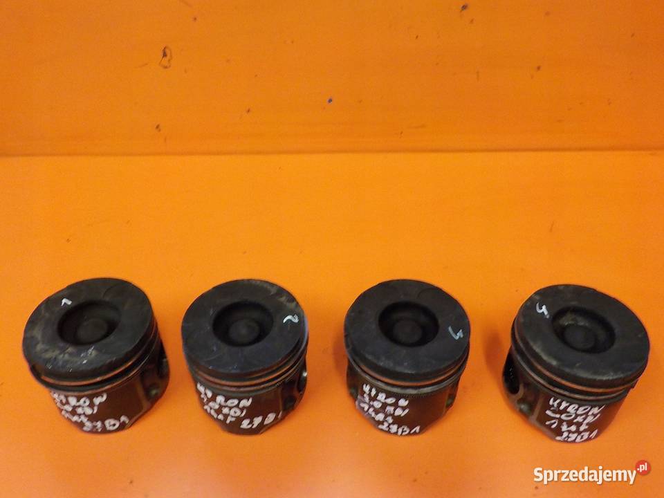 KYRON 20 D XDI 11 141 tlok tloki D20DT Blok silnika Suków