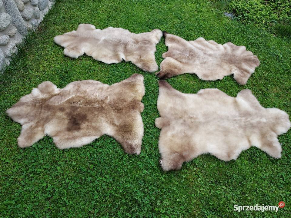 Skóra Owcza Naturalna MURDZIATA Czarnogłówka Szaflary