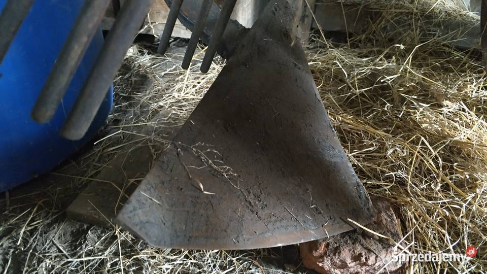 kopaczka konna do ziemniaków jednorzędowa Jarosław