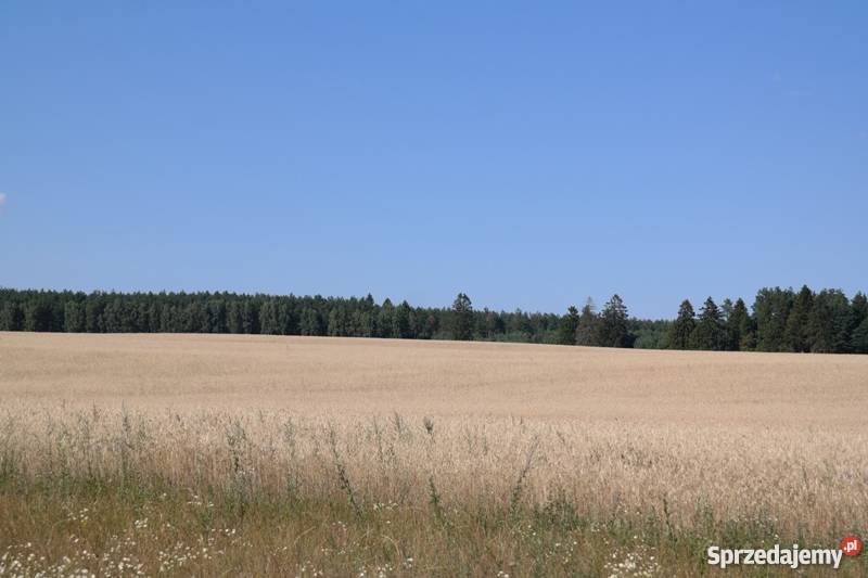 działkę rolną 51 ha Nieruchomości