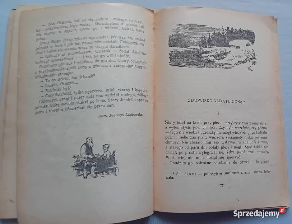 D MaminSibiriak Opowiadania i bajki Nasza Koźminek