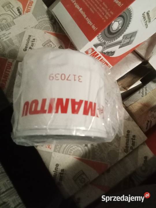 Filtr oleju silnika 317039 Rudno