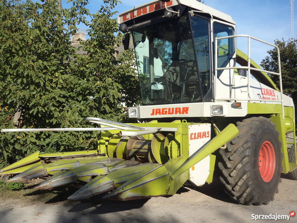 Sieczkarnia samojezdna Class Jaguar 682s Maciejowice