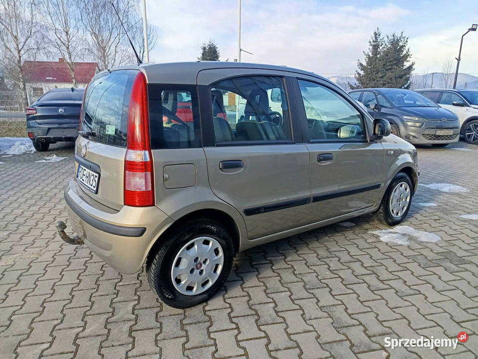 Fiat Panda Actual 12 69 Salon 1 WŁ bezwypadkowy garażowany Fiat Nowy Sącz
