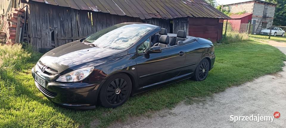 Peugeot 307 cc 20 RFN Automat AL4 Wołów