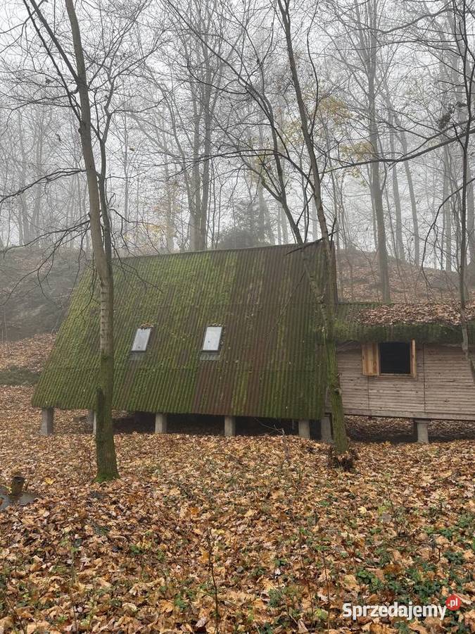Na sprzedaż wyjątkowa działka 194 ha z domkiem 1940m2 Stoszowice sprzedam