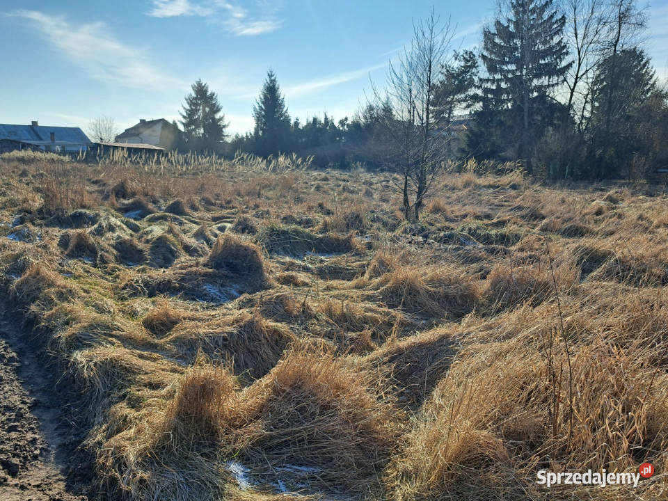 Ogłoszenie działka 2200m2 Niedrzwica Duża 2200m2 lubelskie